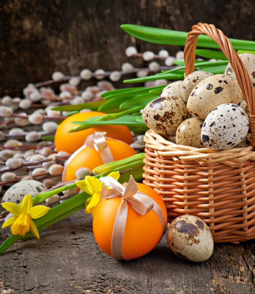 Promo sur l'agneau du 1er au 19 avril 2025